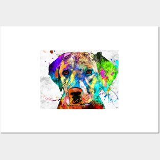 Labrador Retriever Grunge Posters and Art